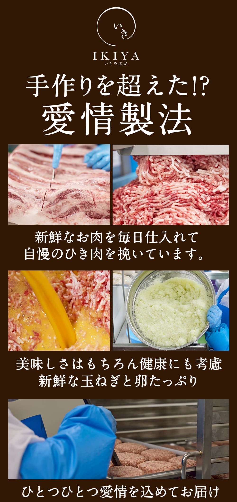 唐津バーグ5個とガーリックソースセット