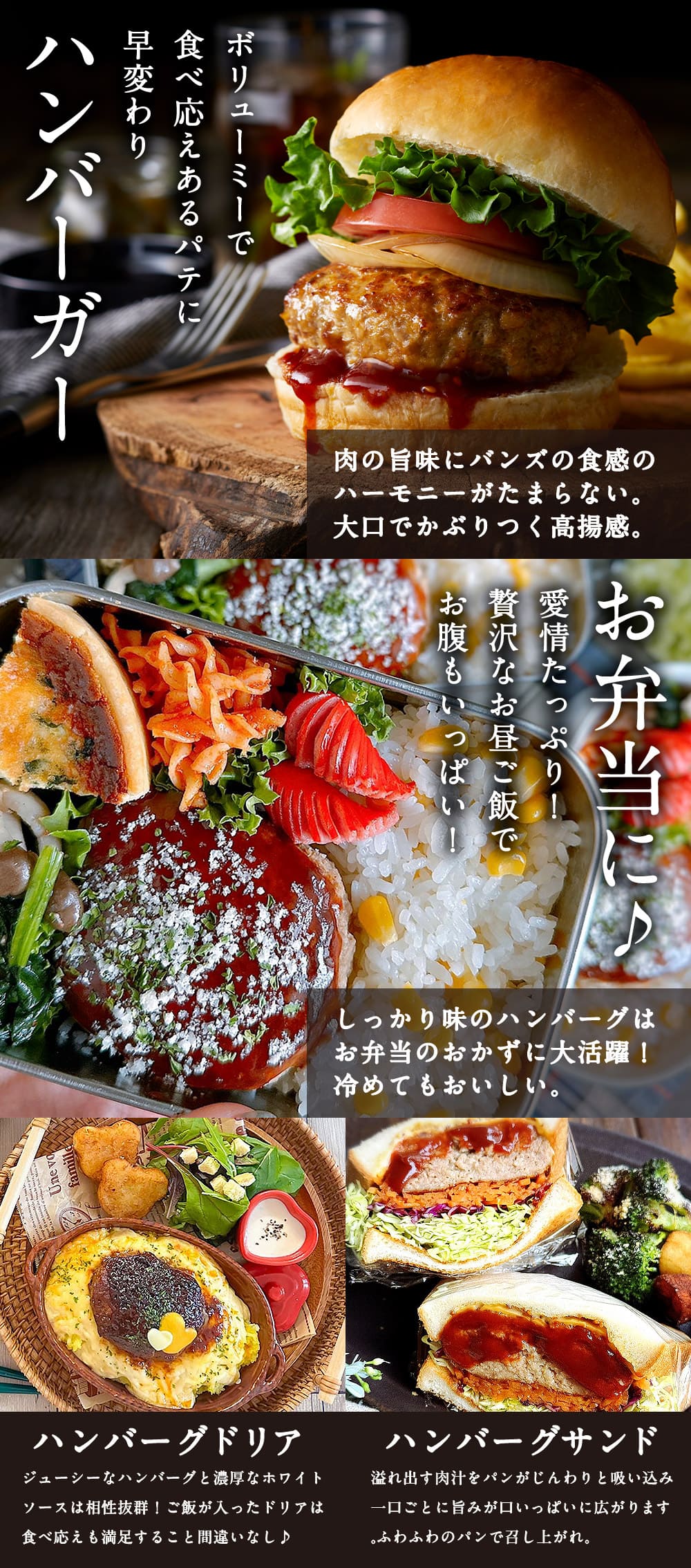 唐津バーグ5個とガーリックソースセット
