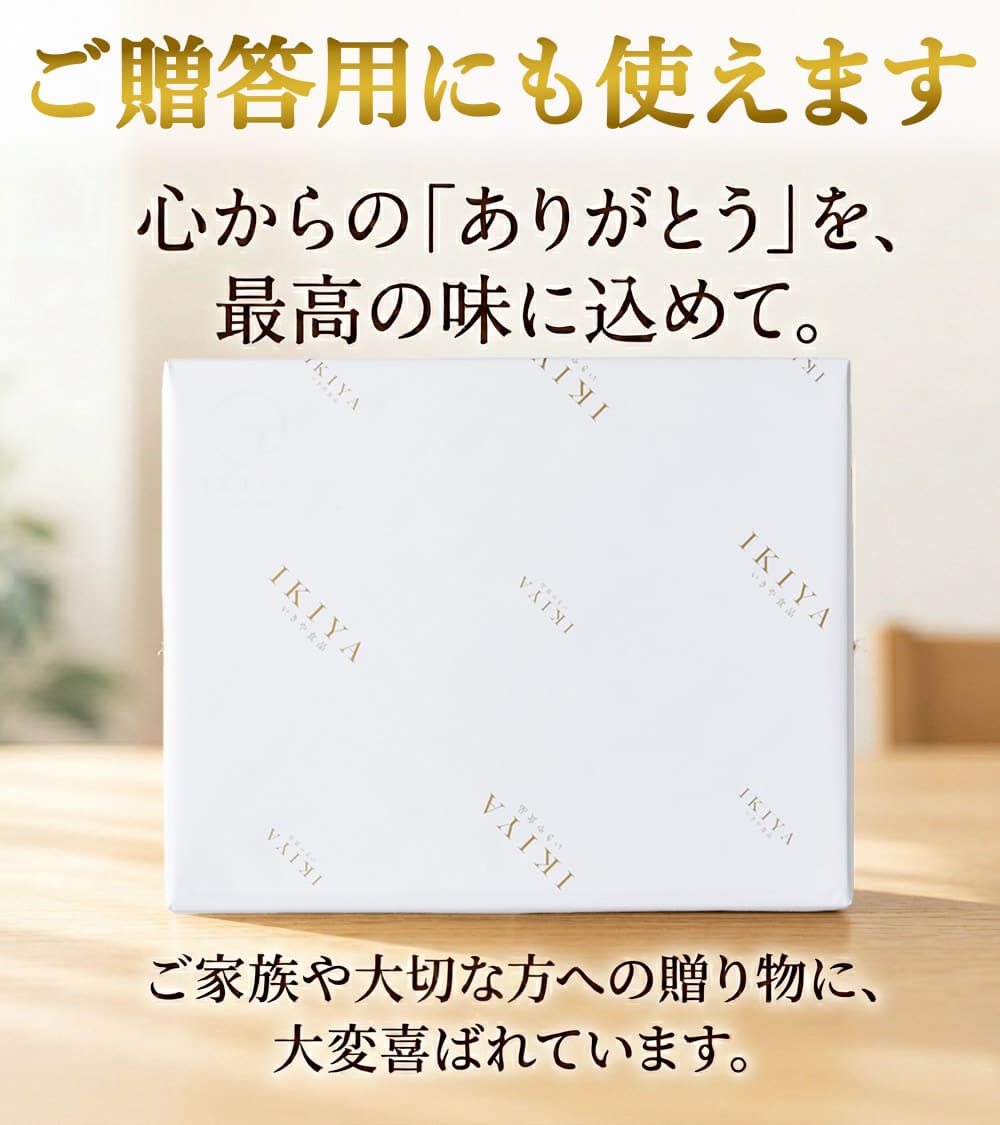 唐津バーグ5個とガーリックソースセット