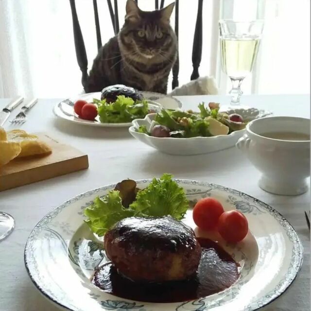・
@cachecache0911様より

みんな大好き♡
ハンバーーーグ！！

ふるさと納税さとふるランキング1位に選ばれたことがあるという…
いきや食品さん(@ikiya1957 )の
｢唐津バーグ｣をお取り寄せ。

冷凍のままフライパンで焼くだけ。
肉汁じゅわ～ん。
ジューシーで美味し～。

いつも冷凍庫に忍ばせておきたい…
リピ決定。

・
・
あさりと🐈️

・
・
・
#いきや食品 #唐津バーグ #ハンバーグ #お取り寄せグルメ #おうちごはん #おうちカフェ #アンティークプレート #アンティーク食器 #フランスアンティーク #アンティークのある暮らし #猫とごはん #猫のいる食卓 #ねこと暮らす #猫のいる暮らし #ねこのいる生活 #日々のこと

=================================================

こんにちは！
いきや食品です(^^)/

本日ご紹介したのは
@cachecache0911様が
投稿してくださったお写真です。

いきや食品では【@ikiya1957 をタグづけ】

または

【ハッシュタグ #ikiya1957 #唐津バーグ をつけてご投稿】

　　　頂いたお写真をご紹介中です！
＼(^^)／これから沢山投稿ていきます＼(^^)／

いきや食品株式会社の公式instagramにて
ご紹介させていただきますので
ぜひたくさんのご投稿をお待ちしております♡

………………………………………
@ikiya1957 ←他の投稿を見る

いきや食品は 佐賀県唐津市のハンバーグ 
専門のショップです(^^)/

お取り寄せやプレゼントに いかがでしょうか？
プロフィールのURL（楽天市場）や 
ハイライトの「注文する」より アクセスして注文が可能となります！
………………………………………
いきや食品株式会社
〒847-0881
佐賀県唐津市竹木場5134-1
TEL：0955-72-6485
受付時間：9：00～17：00
（土日・祝・夏季・年末年始休）
………………………………………